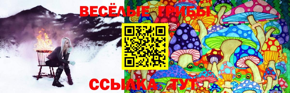 Галлюциногенные грибы Cubensis  Вход с VPN  Пенза 